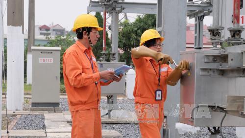 Đảm bảo tiến độ các dự án cấp điện cho miền Nam ảnh 1